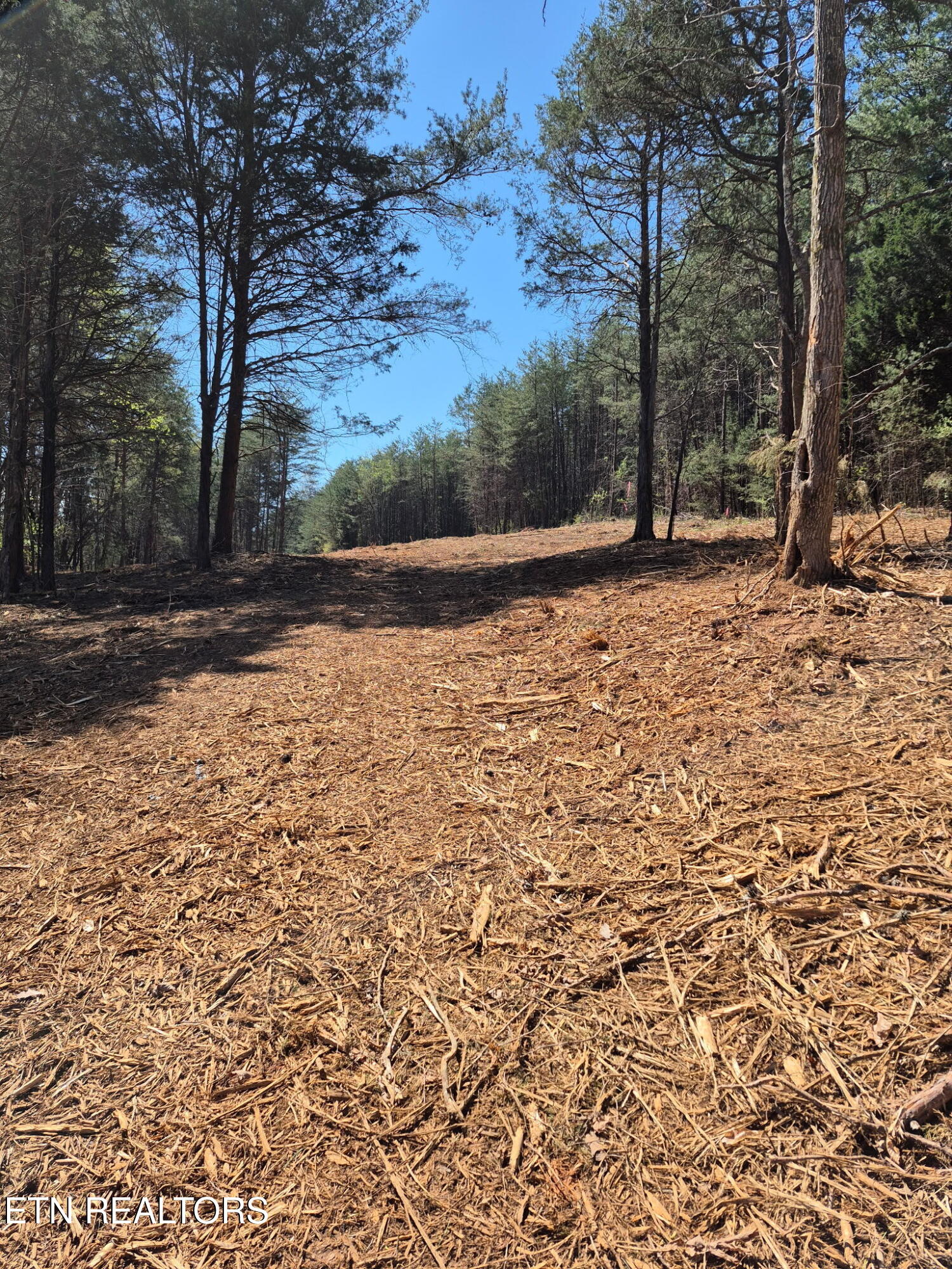 173 Akins Road Tellico Plains, TN 37385 - Photo 25 of 28 10766