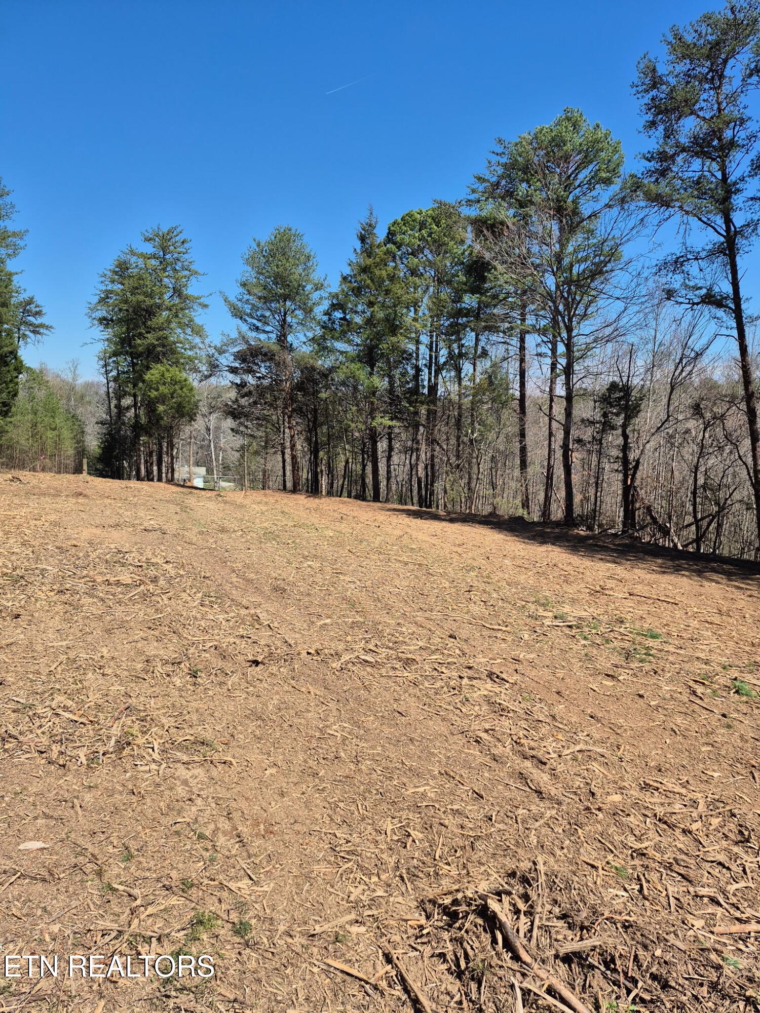 173 Akins Road Tellico Plains, TN 37385 - Photo 26 of 28 IMG_20260328_093340 (1)