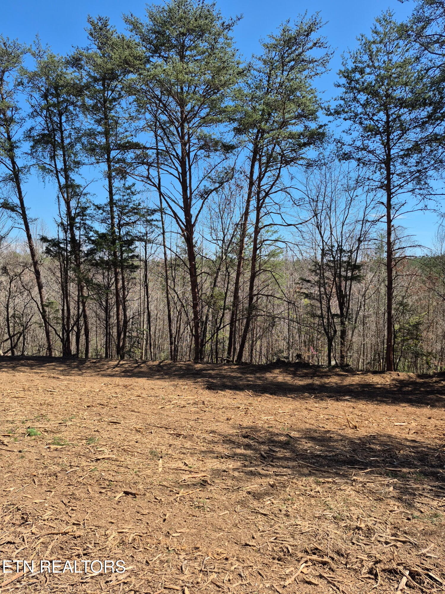 173 Akins Road Tellico Plains, TN 37385 - Photo 27 of 28 IMG_20260328_093340