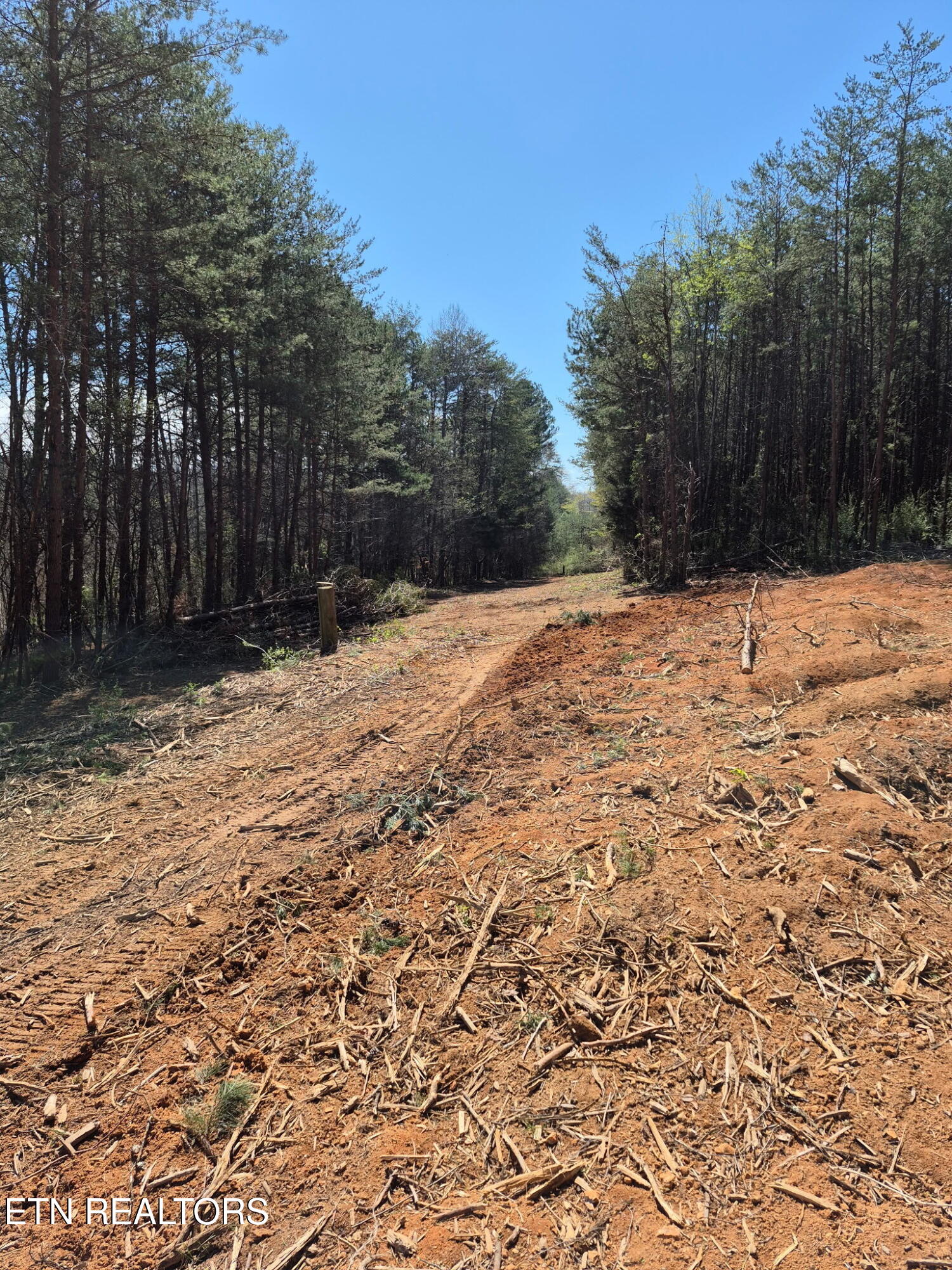 173 Akins Road Tellico Plains, TN 37385 - Photo 28 of 28 IMG_20260328_093342 (2)