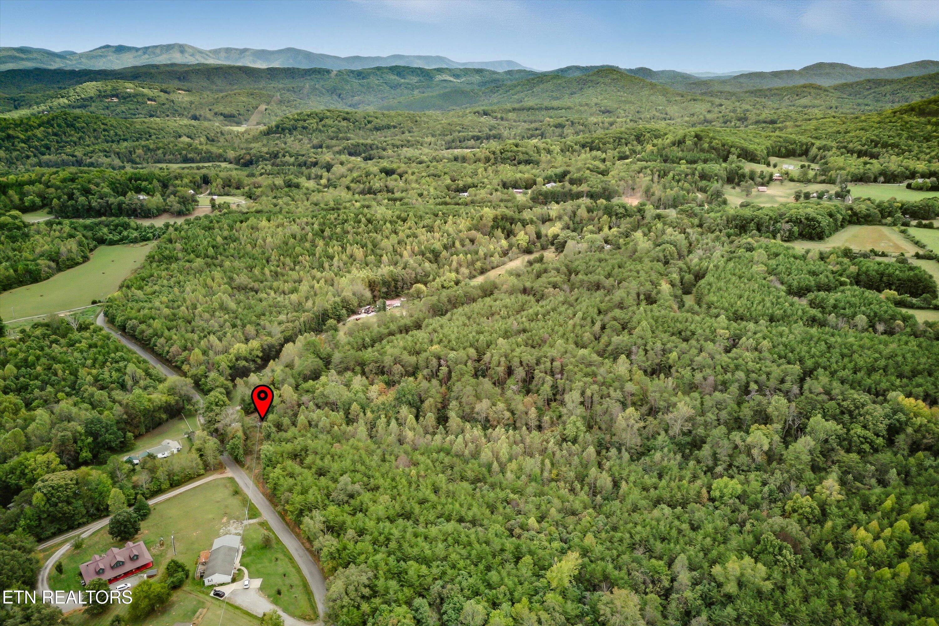 173 Akins Road Tellico Plains, TN 37385 - Photo 3 of 28 05-173 Atkins Rd-5