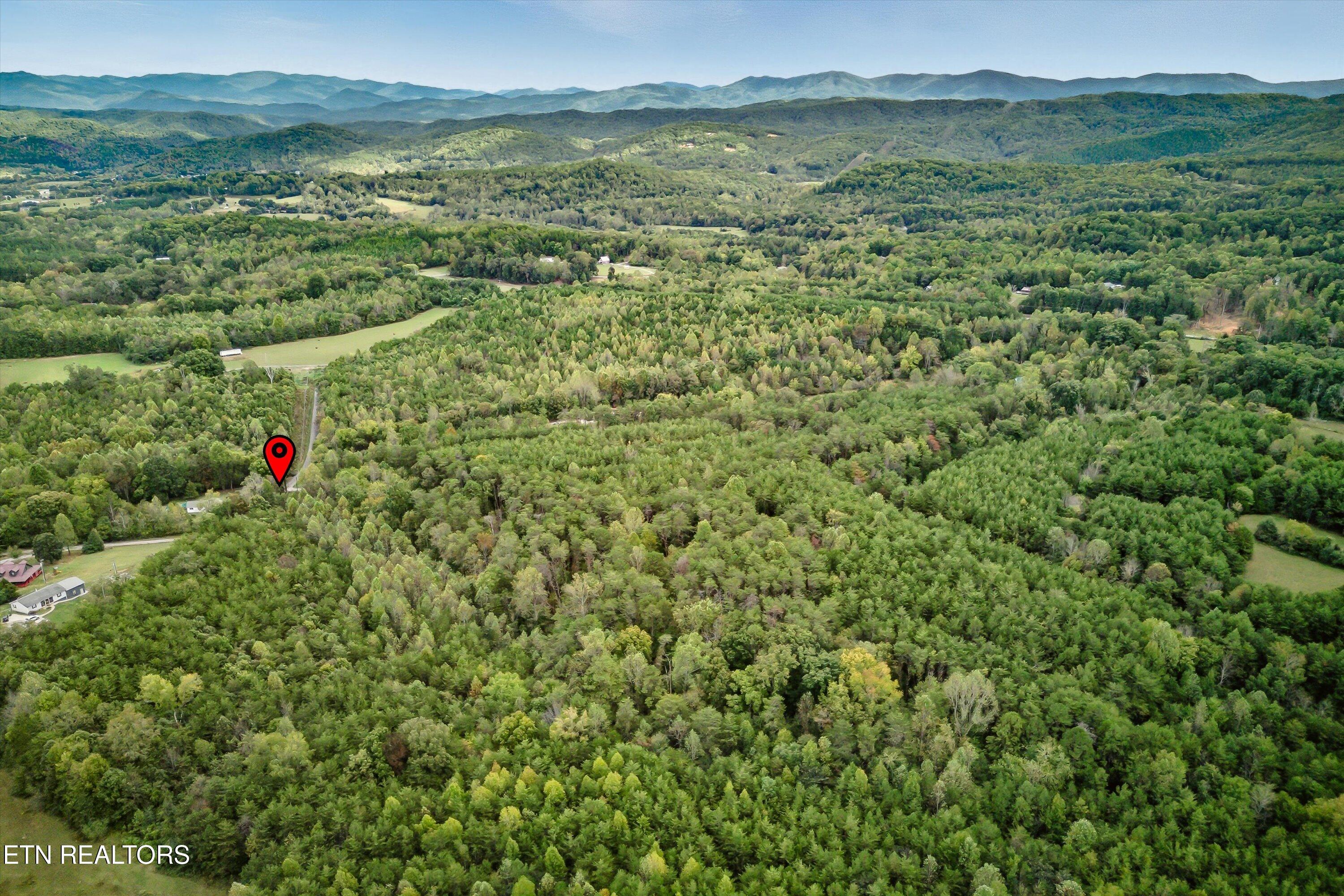 173 Akins Road Tellico Plains, TN 37385 - Photo 4 of 28 07-173 Atkins Rd-7