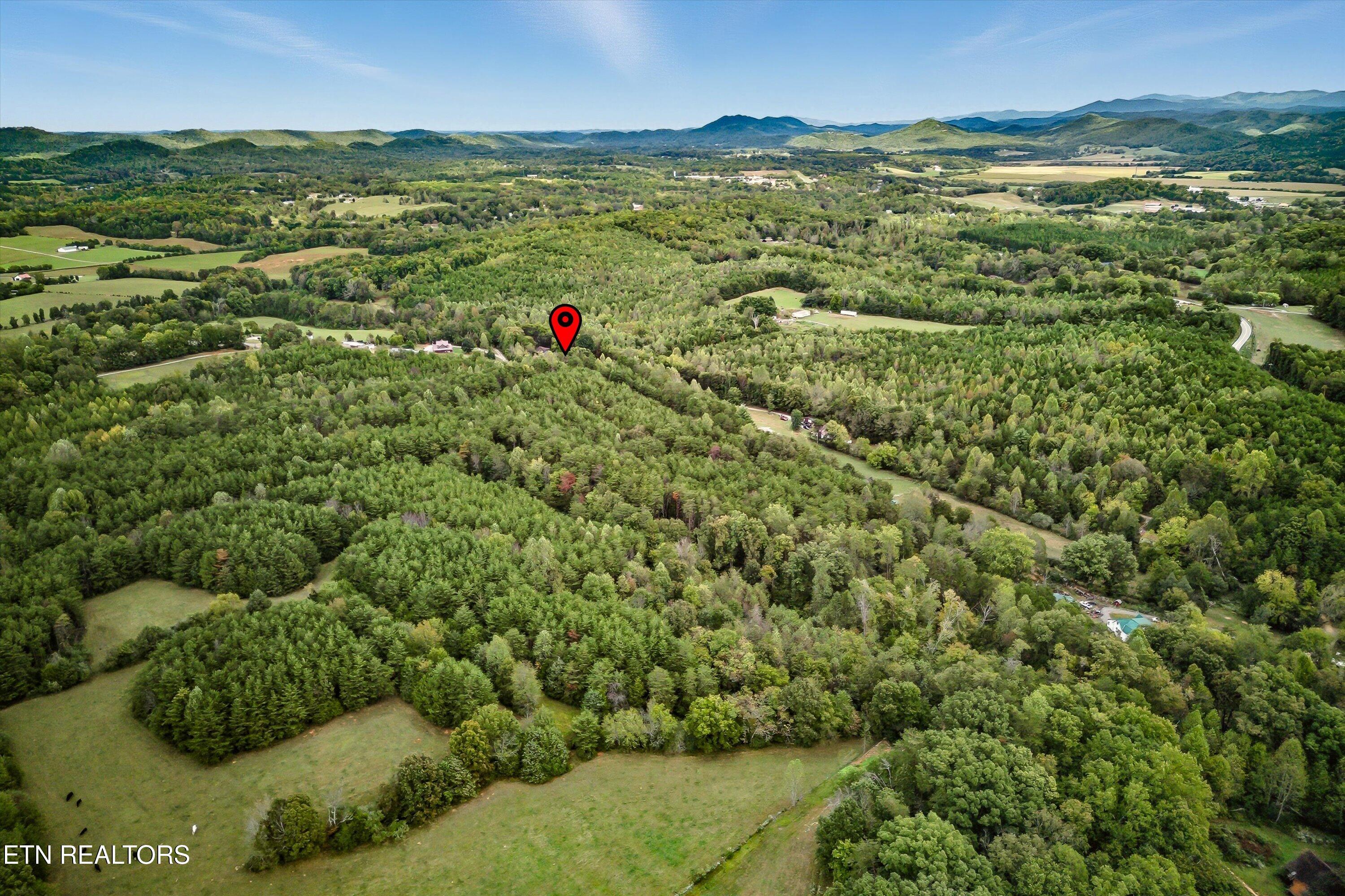 173 Akins Road Tellico Plains, TN 37385 - Photo 5 of 28 09-173 Atkins Rd-9