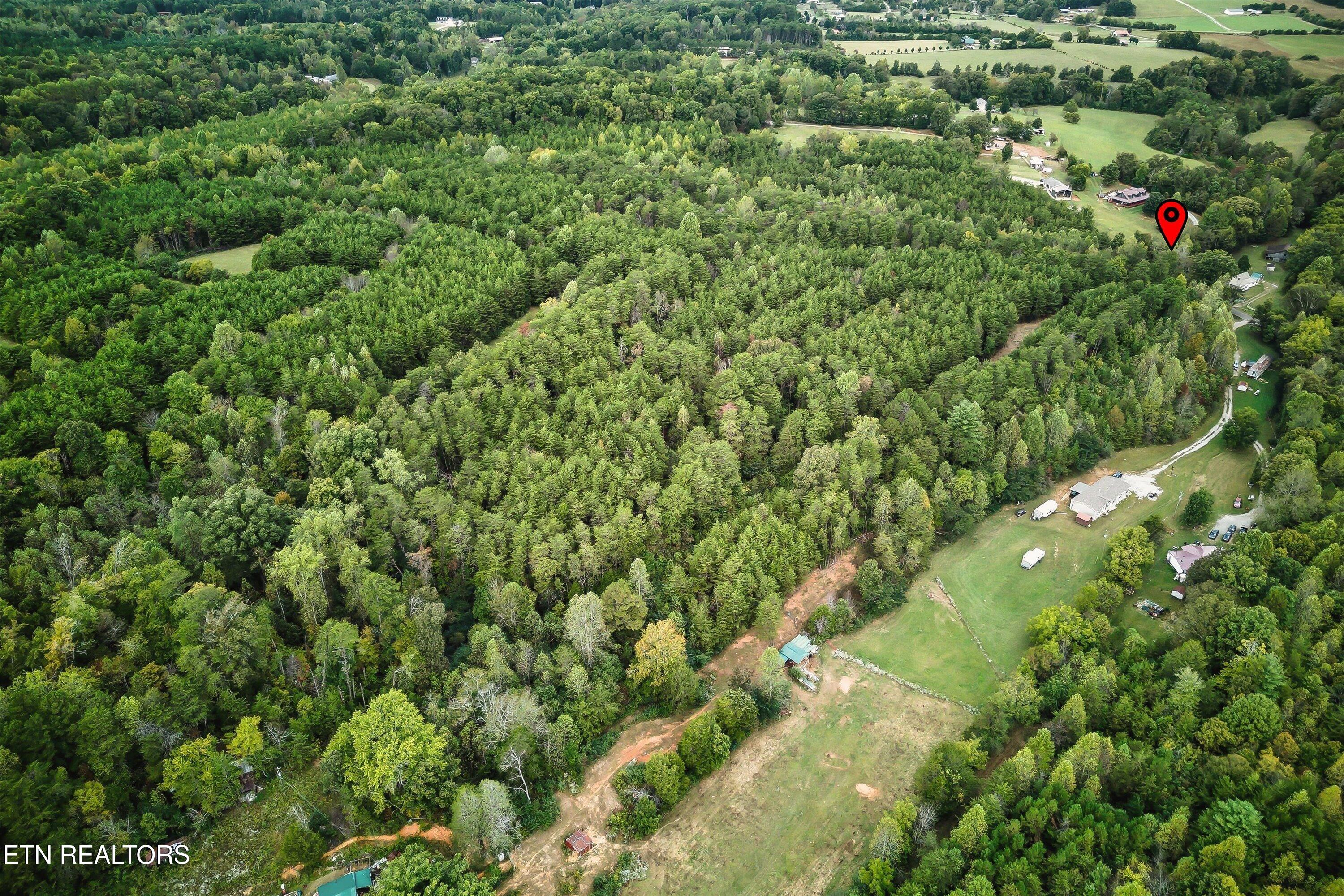 173 Akins Road Tellico Plains, TN 37385 - Photo 8 of 28 15-173 Atkins Rd-15