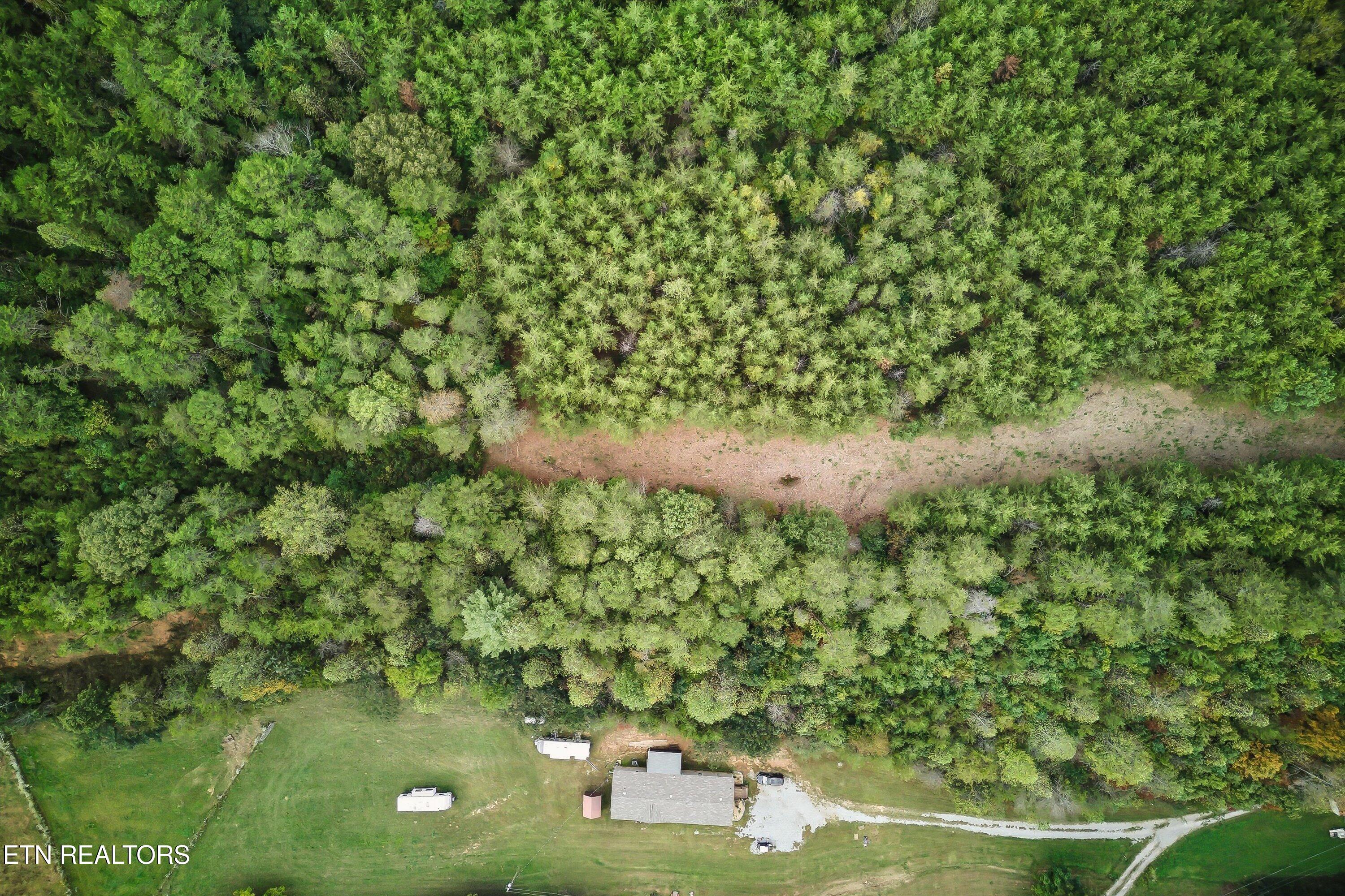 173 Akins Road Tellico Plains, TN 37385 - Photo 9 of 28 17-173 Atkins Rd-17