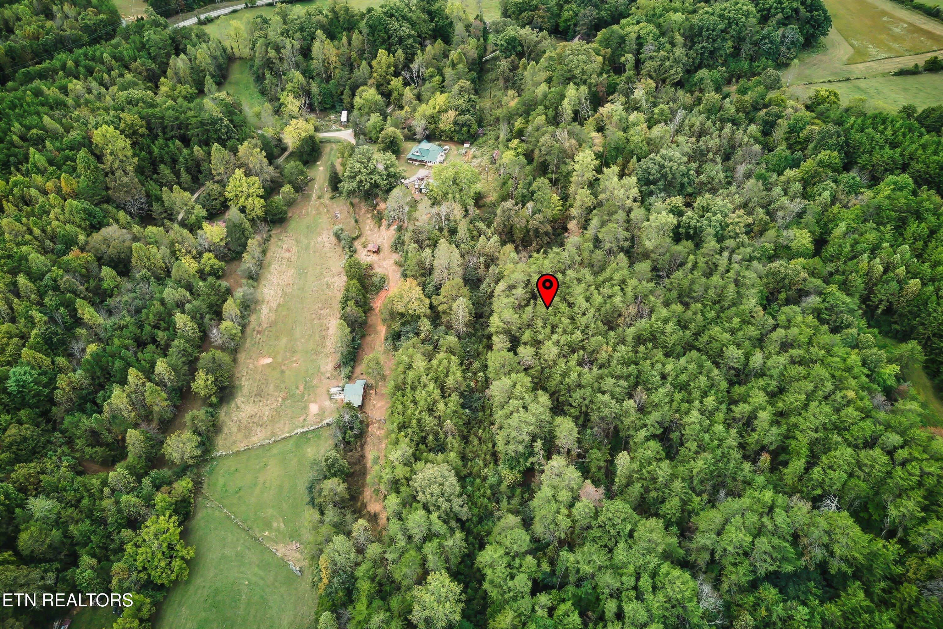 173 Akins Road Tellico Plains, TN 37385 - Photo 10 of 28 18-173 Atkins Rd-18