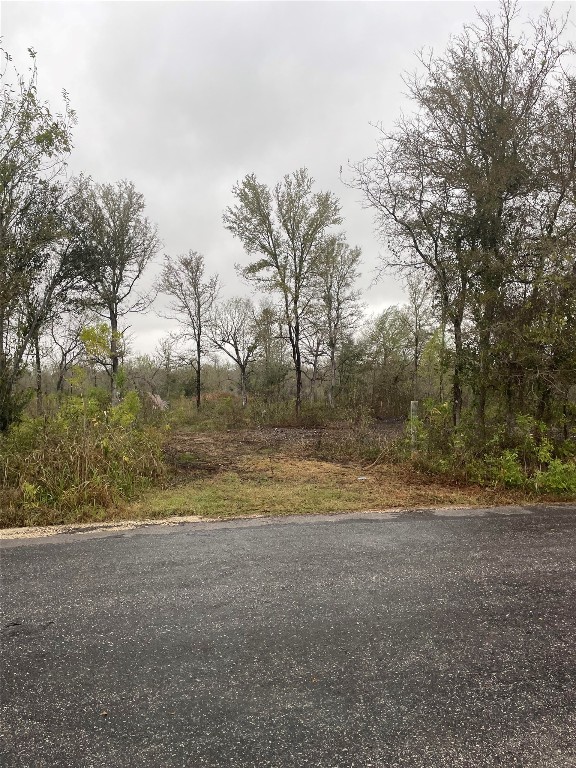 a view of dirt yard with large trees