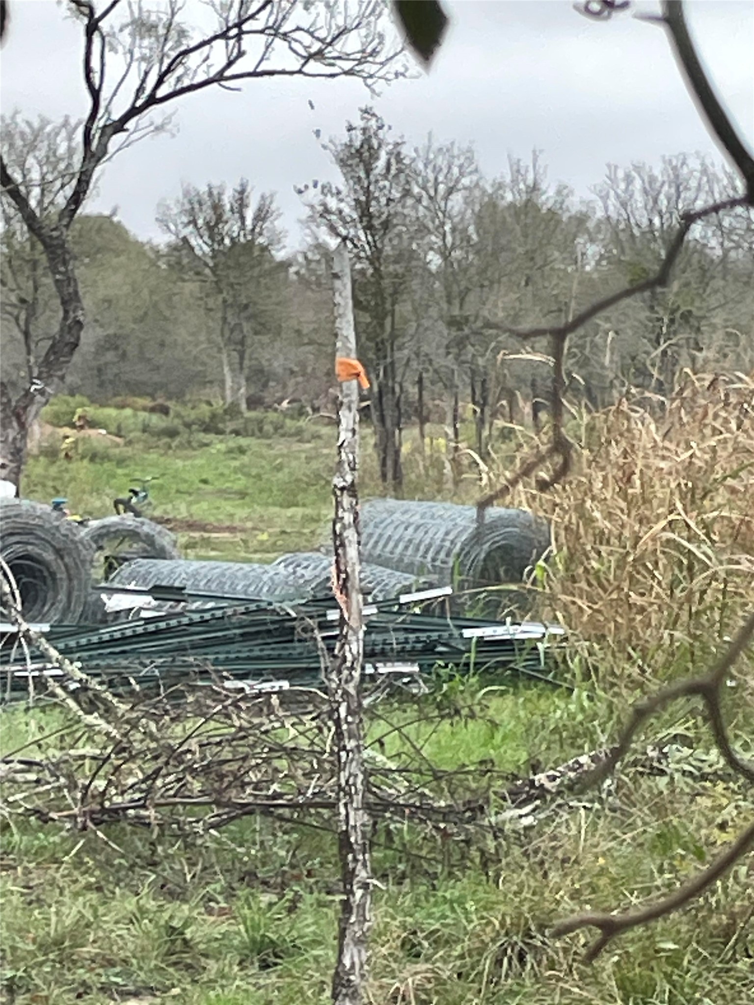 0 Balch Road Elgin, TX 78621 - Photo 2 of 3 View of yard