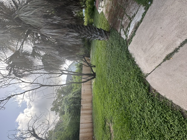 902 East 43rd Street Austin, TX 78751 - Photo 16 of 16