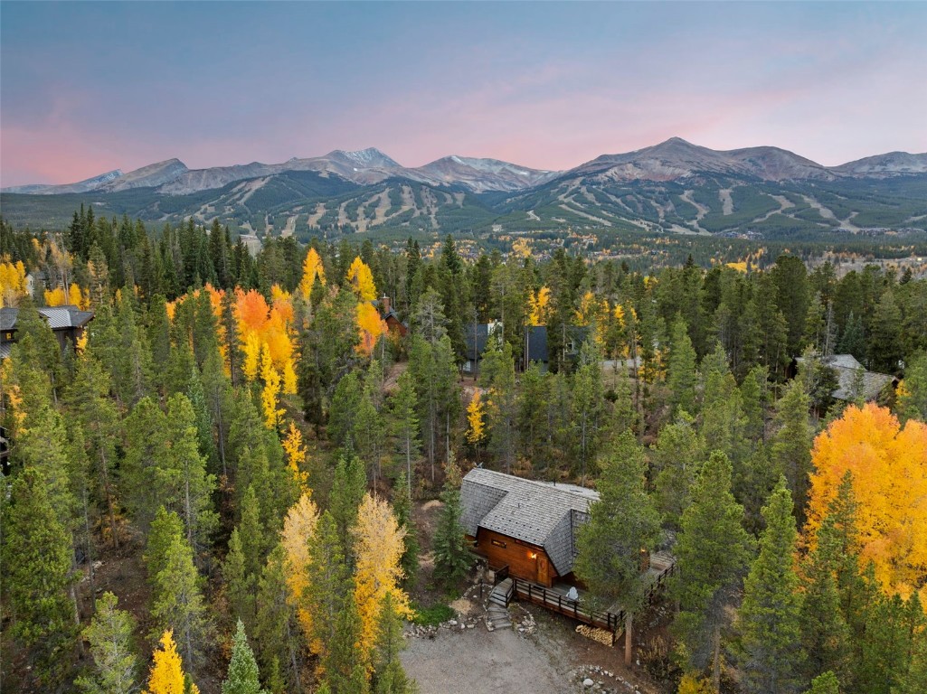 522 Wellington Road Breckenridge, CO 80424 - Photo 2 of 43 a view of a town with mountains in the background