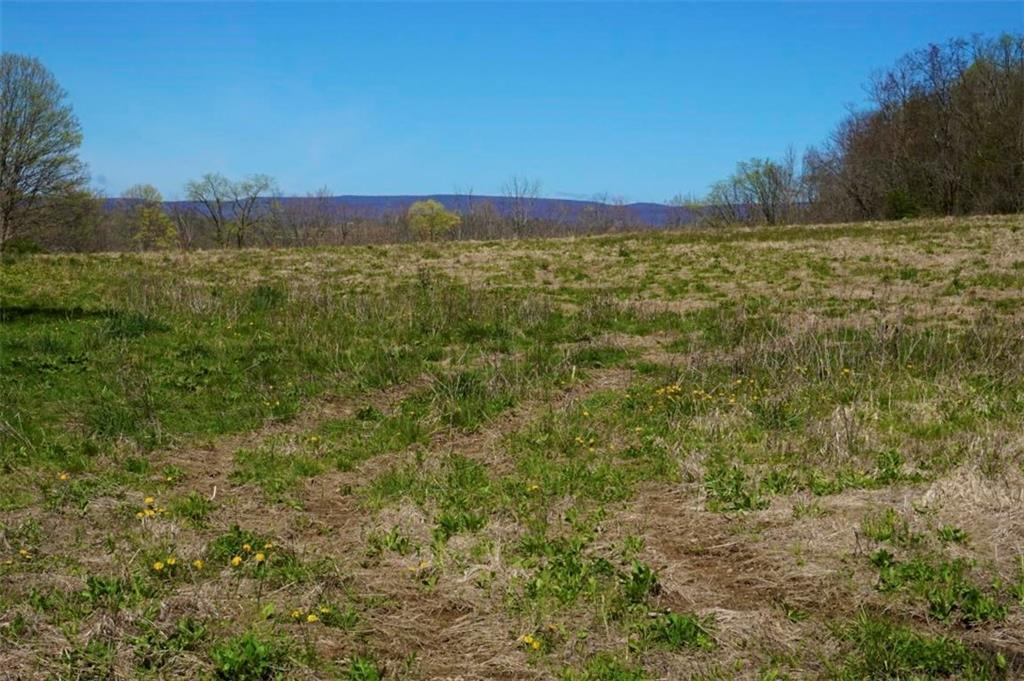 0 Camp Ground Road Confluence, PA 15424 - Photo 3 of 5 Gallery Image 3