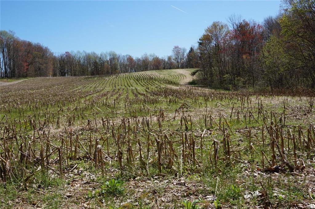 0 Camp Ground Road Confluence, PA 15424 - Photo 5 of 5 Gallery Image 5