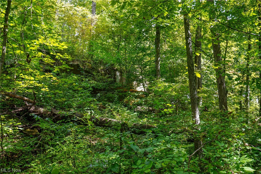 555 State Route Blue Rock, OH 43720 - Photo 4 of 28 View of mother earth's splendor