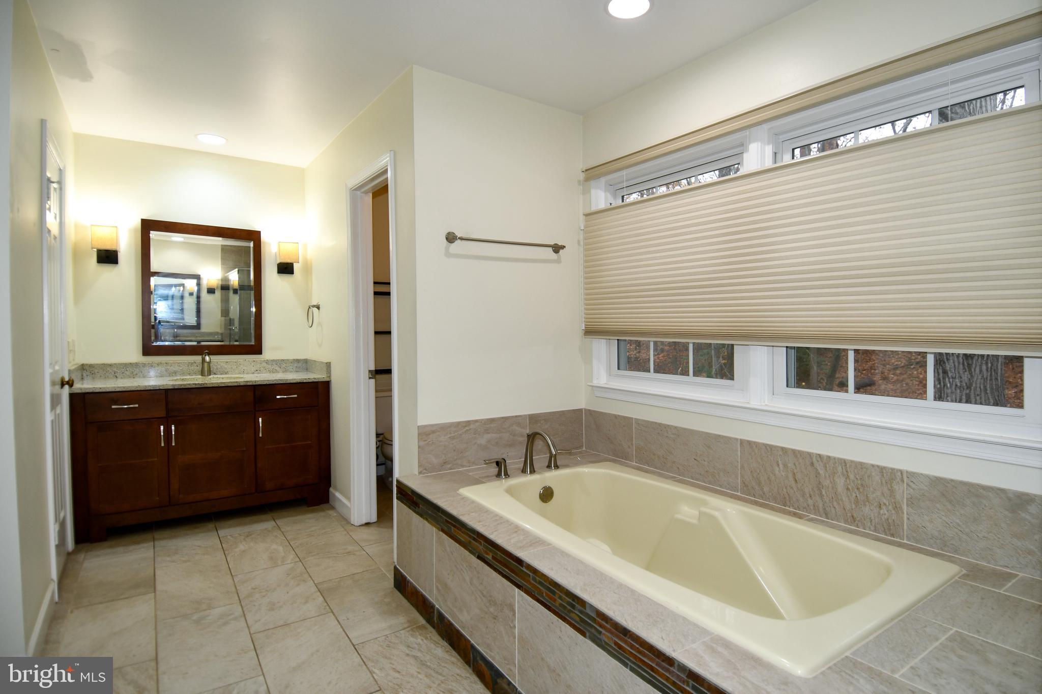 13135 Hutchinson Way Silver Spring, MD 20906 - Photo 37 of 64 a spacious bathroom with a tub sink and mirror