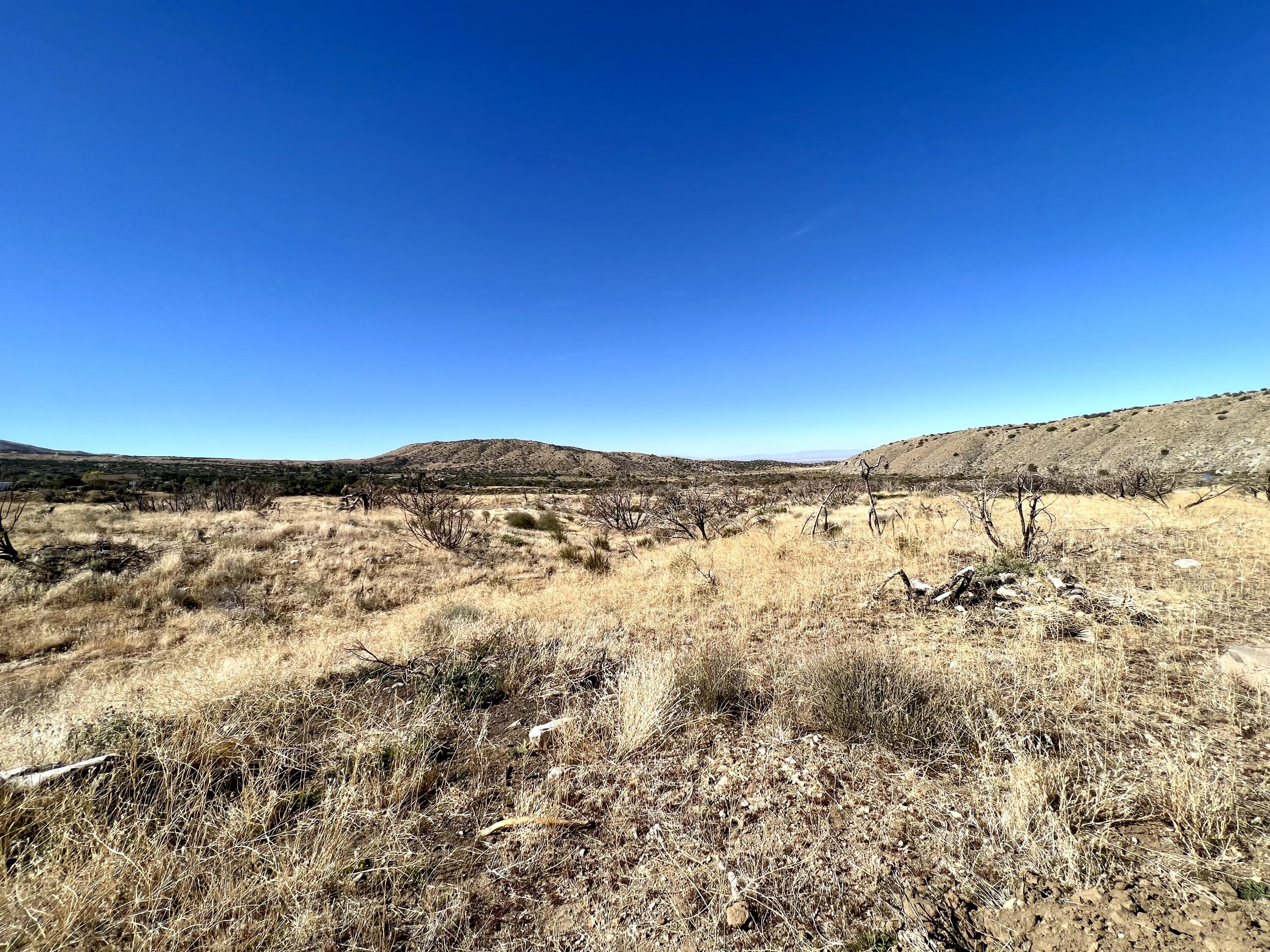Tumbleweed Road Pearblossom, CA 93553 - Photo 6 of 13 Photo Oct 30 2023, 2 35 57 PM