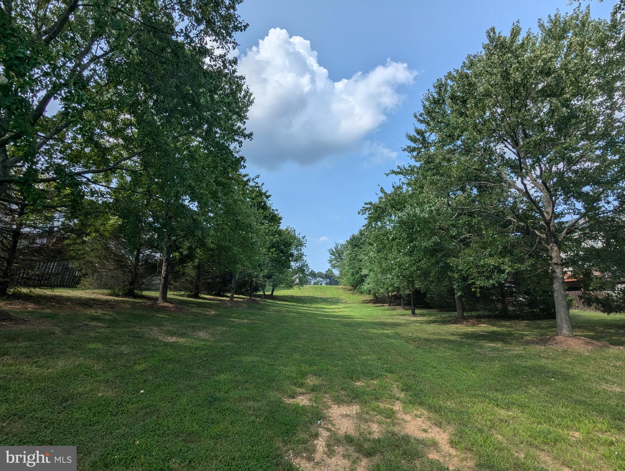 17415 Denali Place Dumfries, VA 22025 - Photo 54 of 55 a big yard with trees