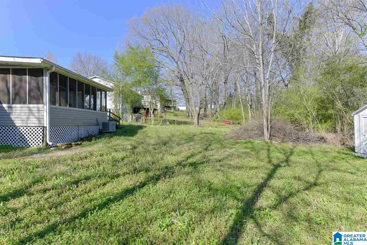 225 Pleasant Road Mount Olive, AL 35117 - Photo 45 of 47