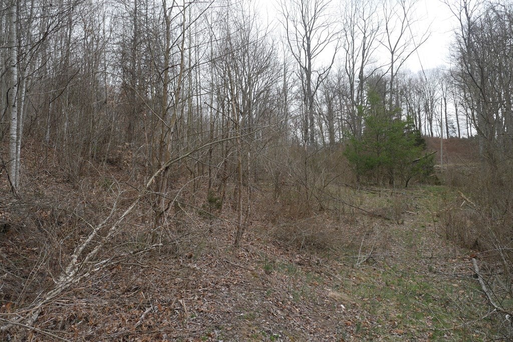 Tbd Old Mill Road, Unit 23 Glade Spring, VA 24340 - Photo 23 of 32 Gallery Image 23