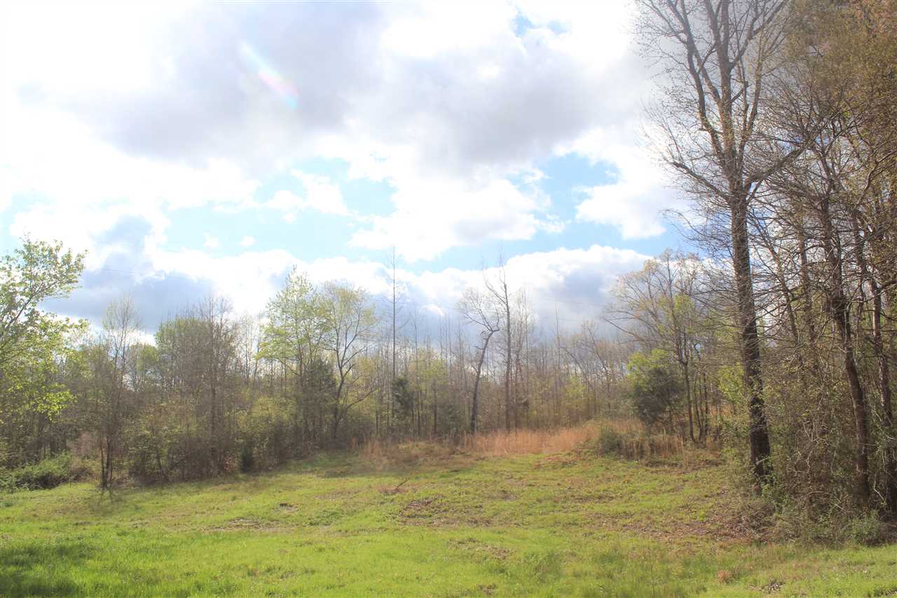 2700 Musgray Road Waterford, MS 38685 - Photo 2 of 23 Gallery Image 2