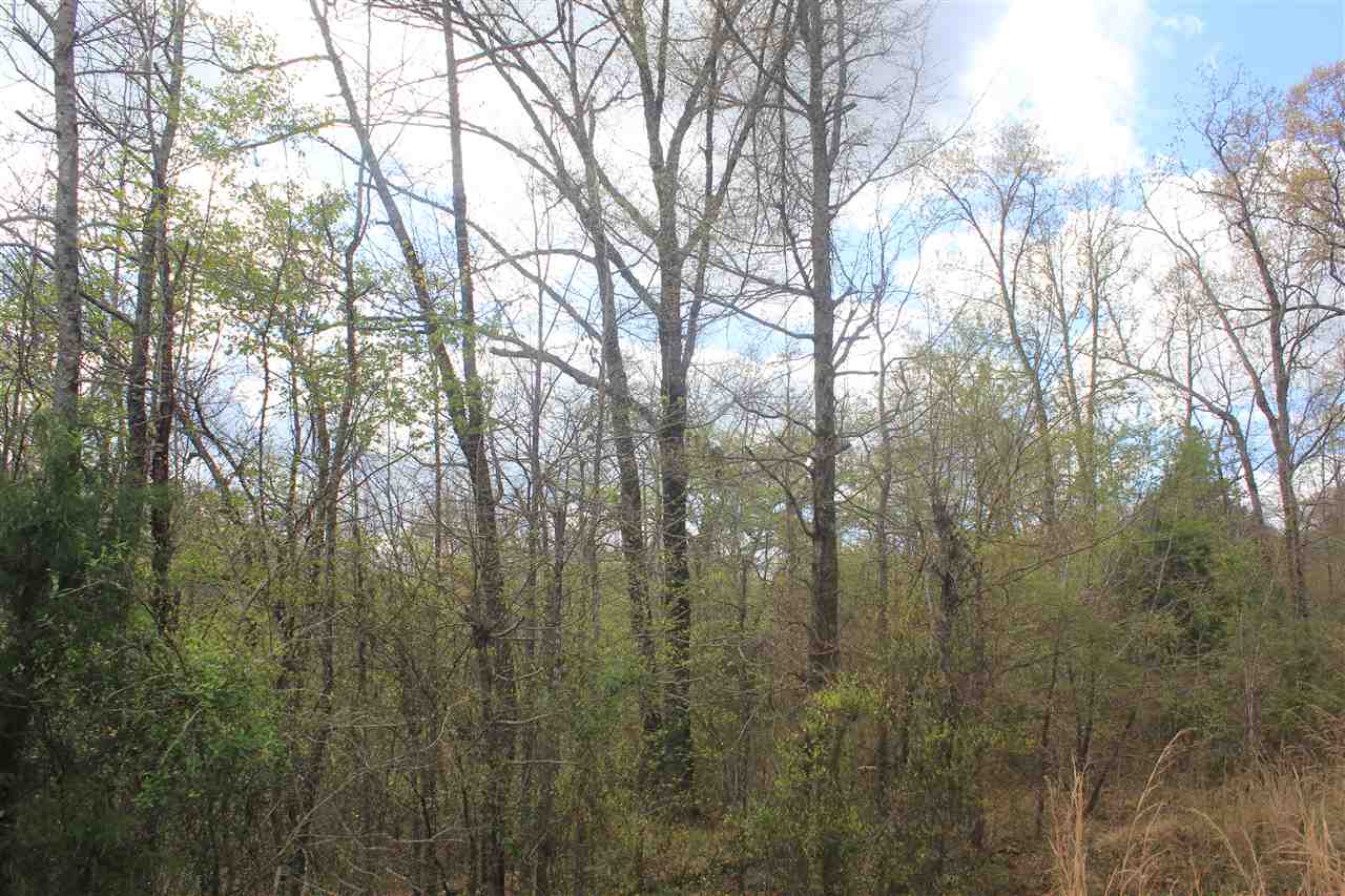 2700 Musgray Road Waterford, MS 38685 - Photo 11 of 23 Gallery Image 11
