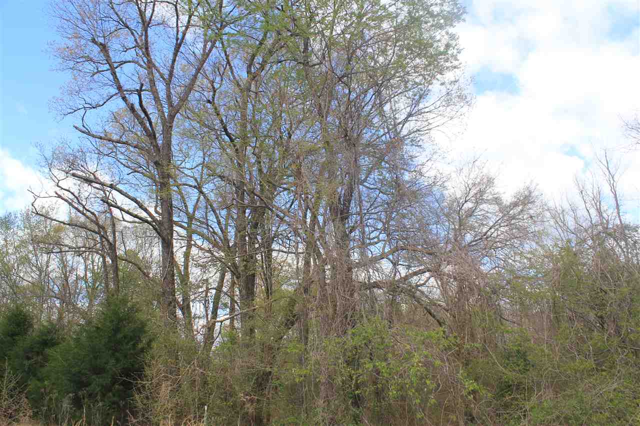 2700 Musgray Road Waterford, MS 38685 - Photo 12 of 23 Gallery Image 12