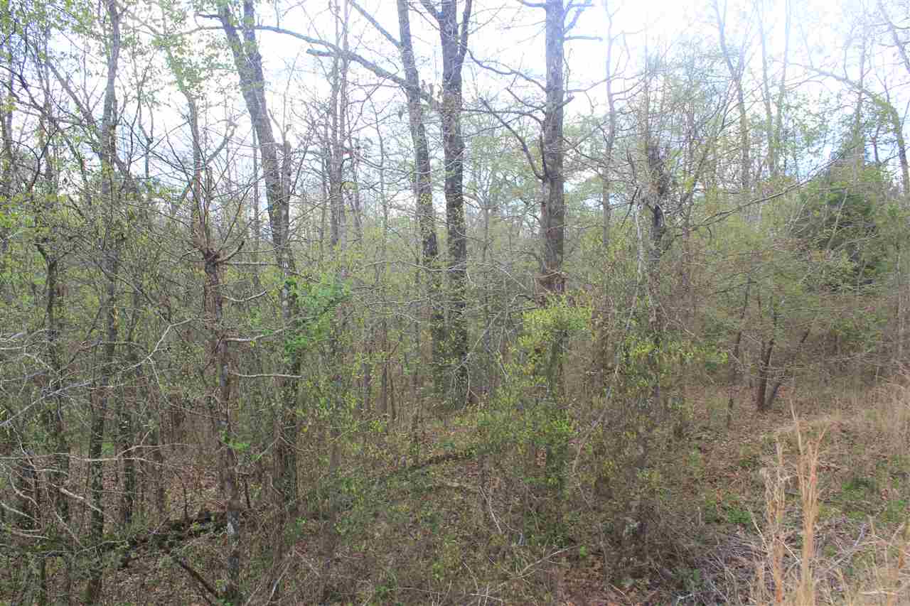 2700 Musgray Road Waterford, MS 38685 - Photo 13 of 23 Gallery Image 13