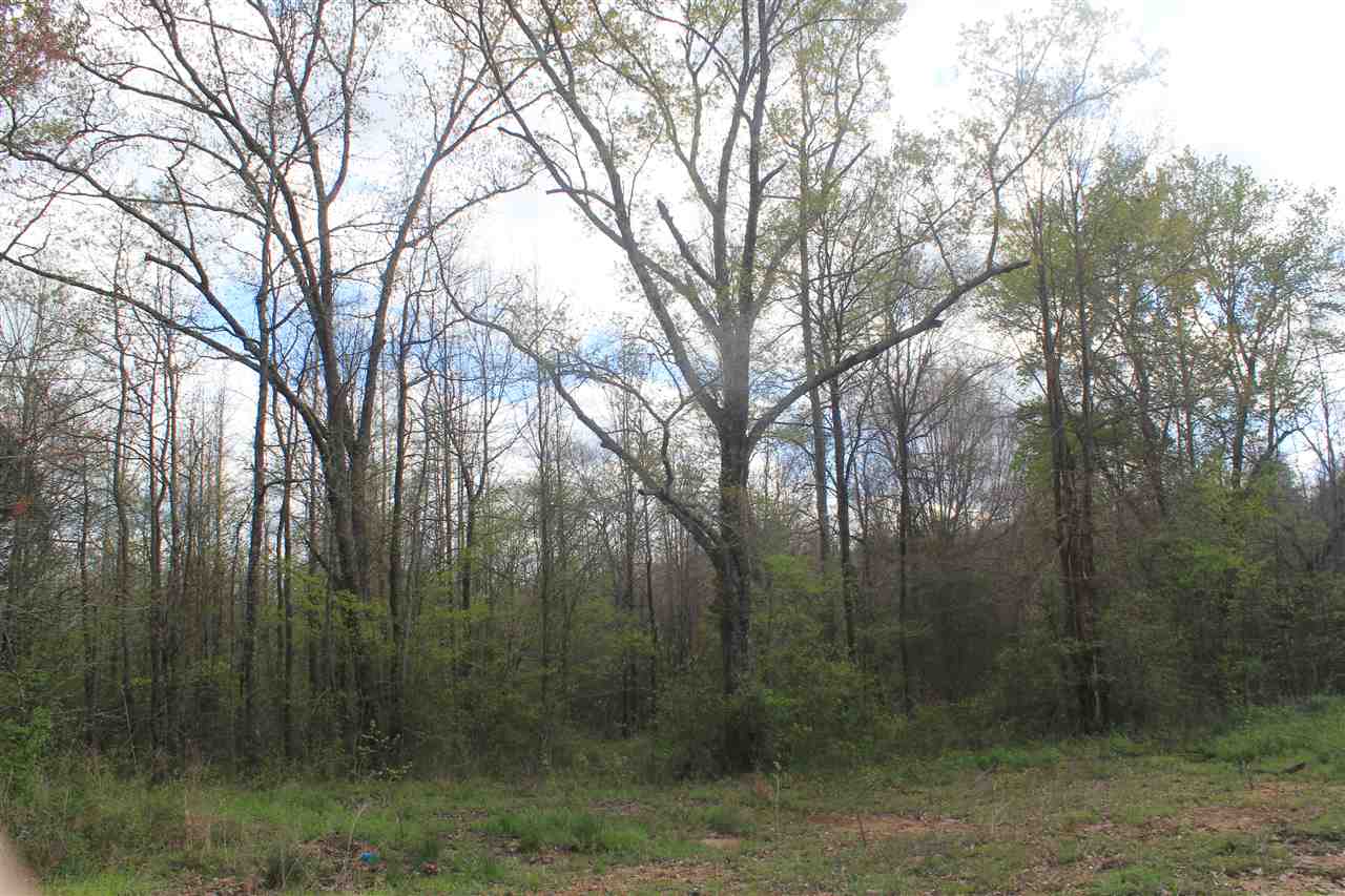 2700 Musgray Road Waterford, MS 38685 - Photo 14 of 23 Gallery Image 14