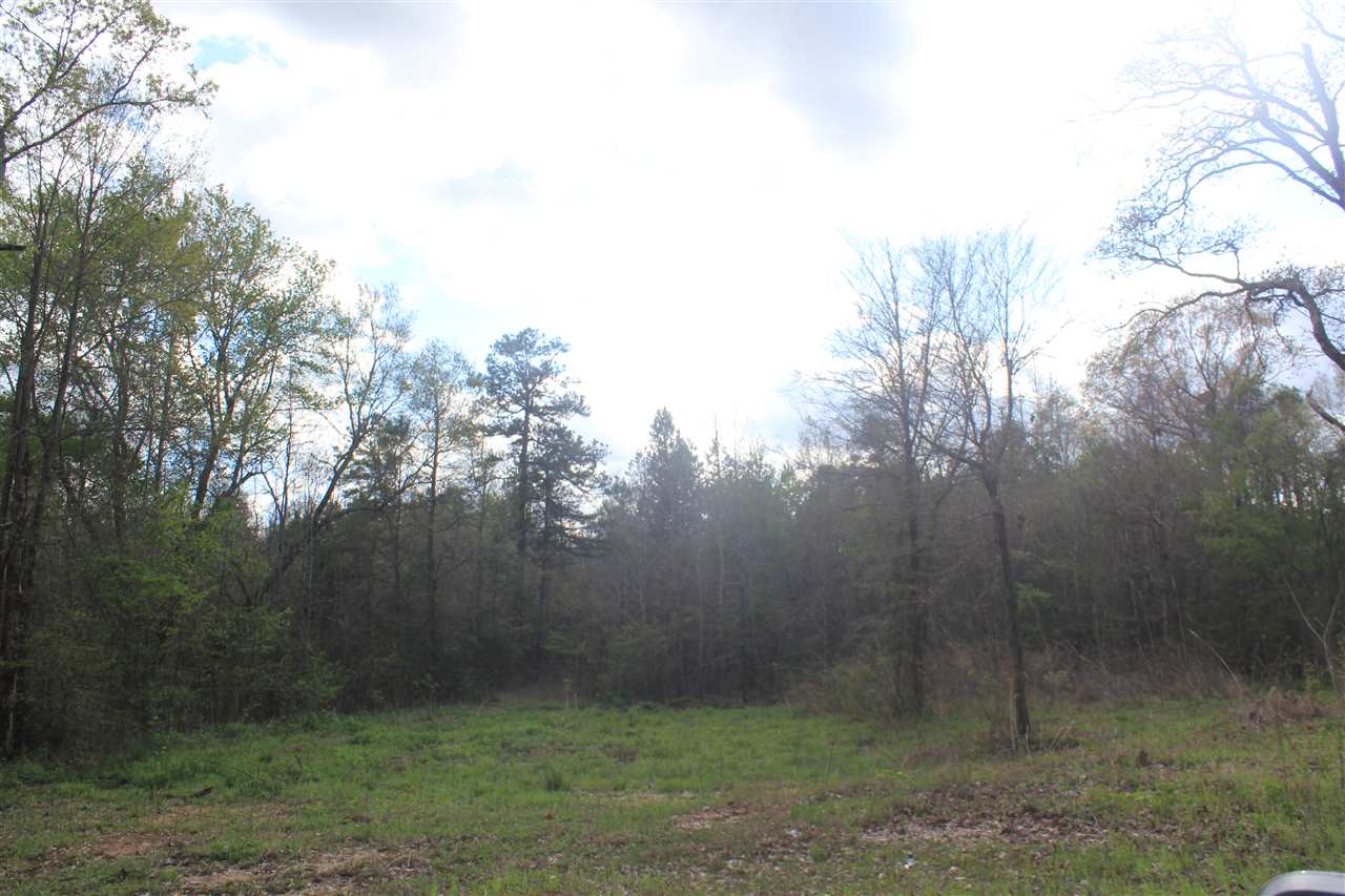 2700 Musgray Road Waterford, MS 38685 - Photo 15 of 23 Gallery Image 15