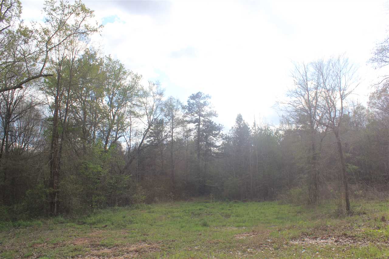 2700 Musgray Road Waterford, MS 38685 - Photo 16 of 23 Gallery Image 16