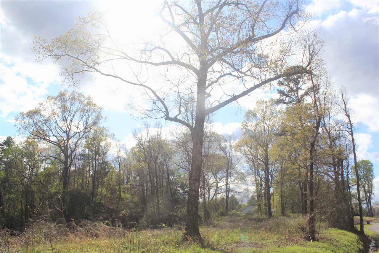 2700 Musgray Road Waterford, MS 38685 - Photo 17 of 23 Gallery Image 17