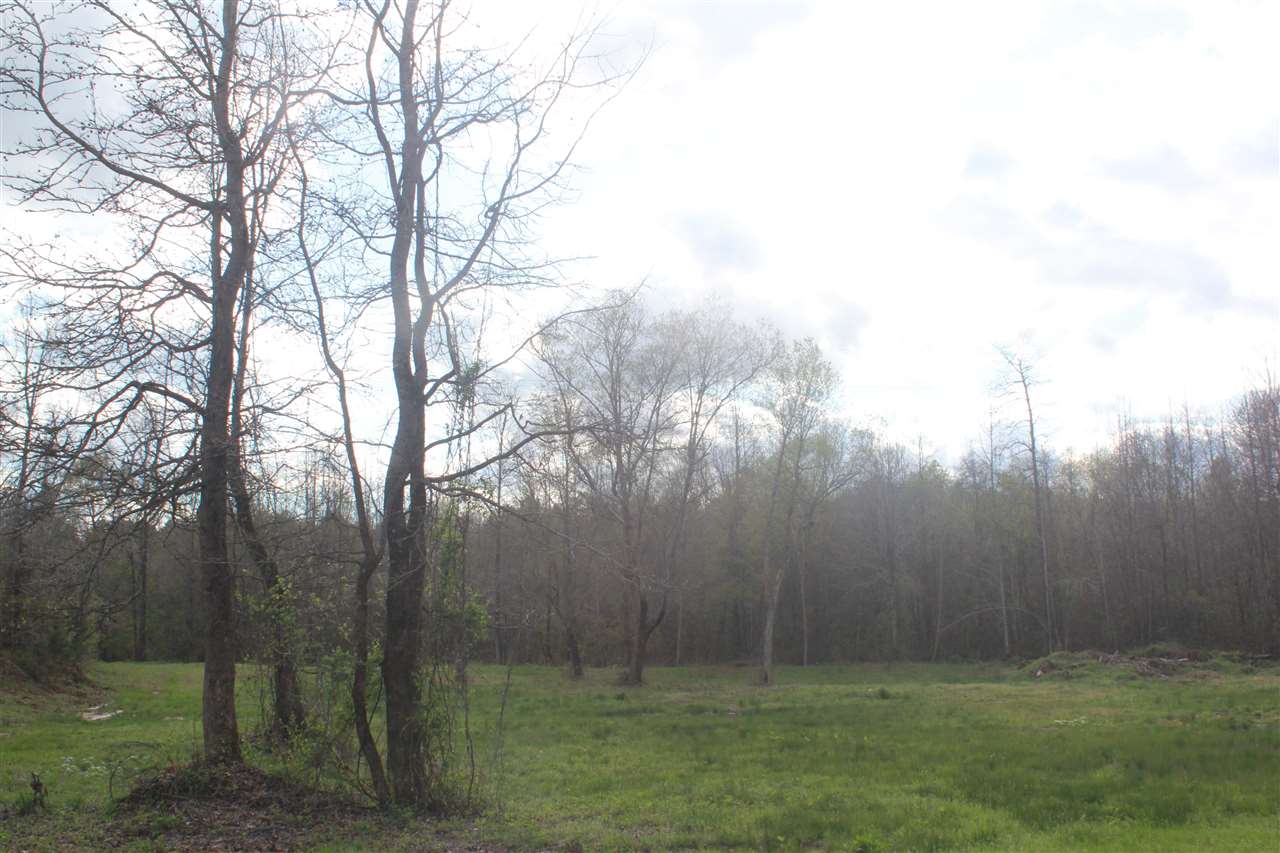 2700 Musgray Road Waterford, MS 38685 - Photo 22 of 23 Gallery Image 22