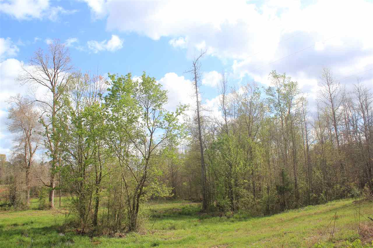 2700 Musgray Road Waterford, MS 38685 - Photo 4 of 23 Gallery Image 4