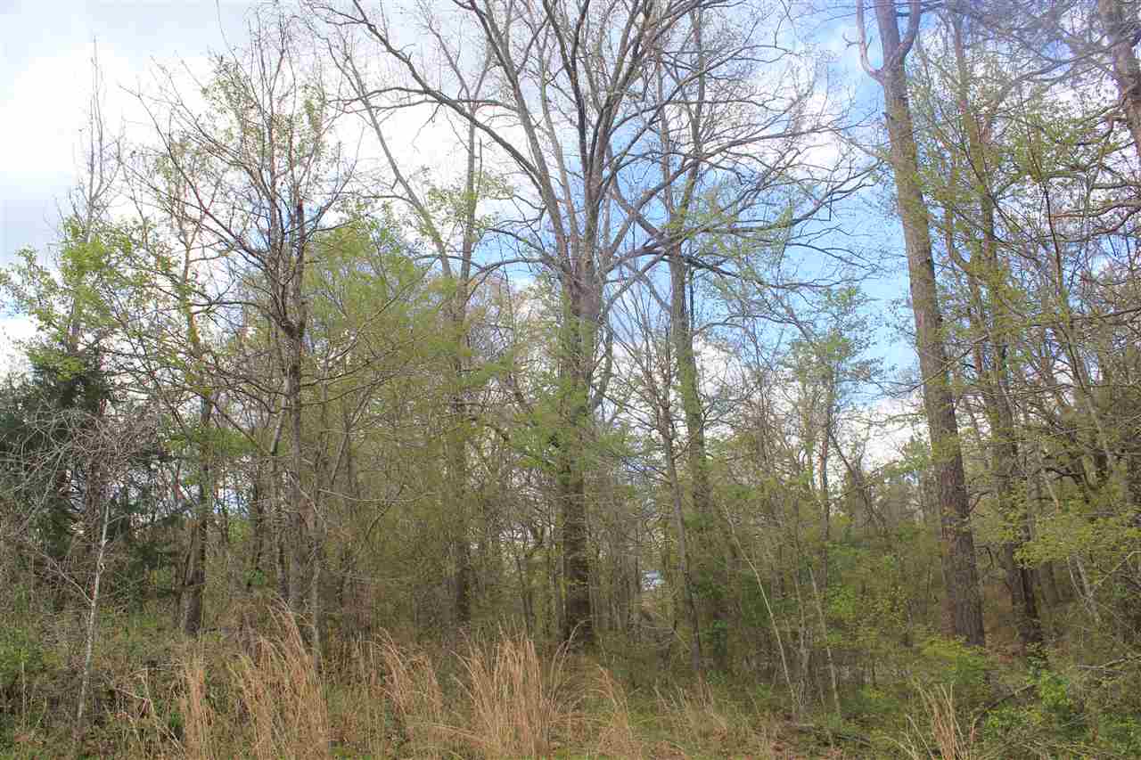 2700 Musgray Road Waterford, MS 38685 - Photo 5 of 23 Gallery Image 5