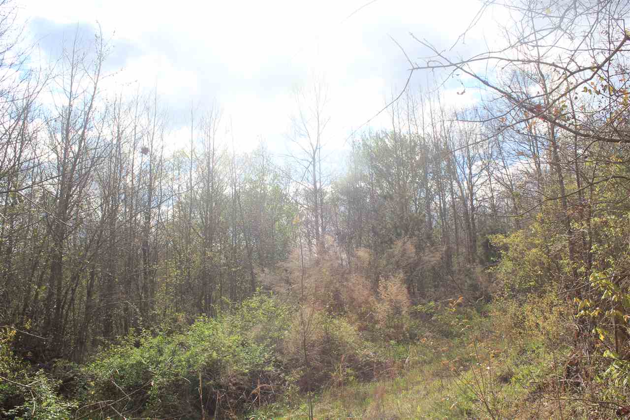 2700 Musgray Road Waterford, MS 38685 - Photo 7 of 23 Gallery Image 7