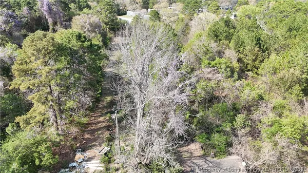 a view of a forest with lots of trees