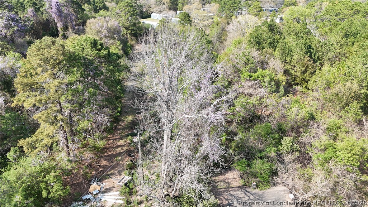 1135 Shaw Road Fayetteville, NC 28311 - Photo 2 of 8 a view of a forest with a tree