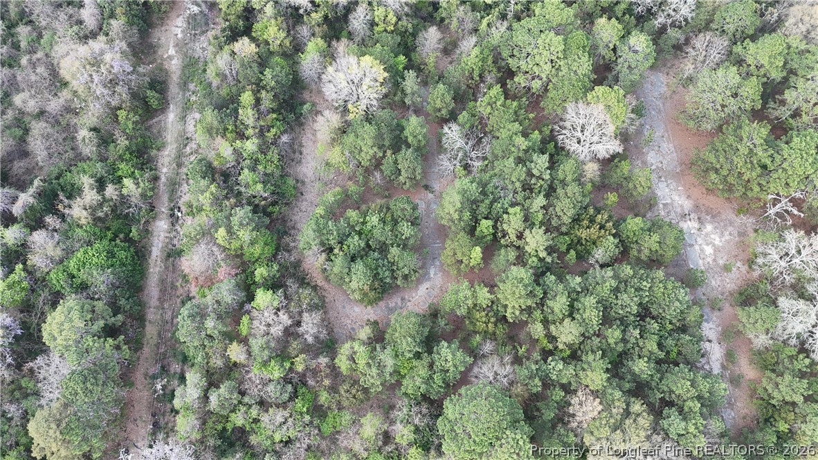 1135 Shaw Road Fayetteville, NC 28311 - Photo 6 of 8 an aerial view of residential house with outdoor space and trees all around