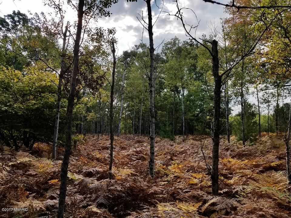 37 1/2 37 1/2 Road Manton, MI 49663 - Photo 17 of 27