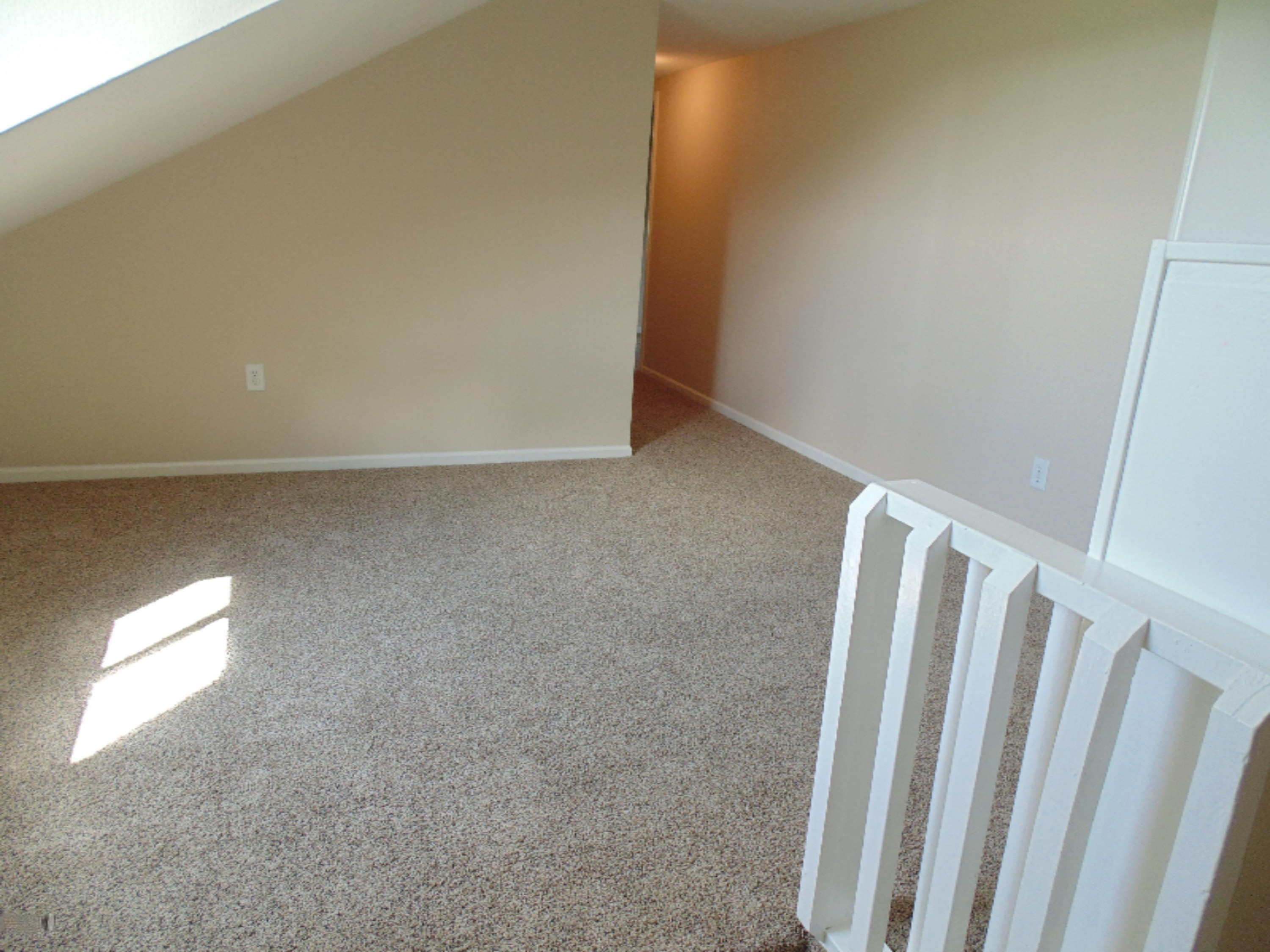 30248 Jacksonburg Road Leonidas, MI 49066 - Photo 14 of 27 DSC00386