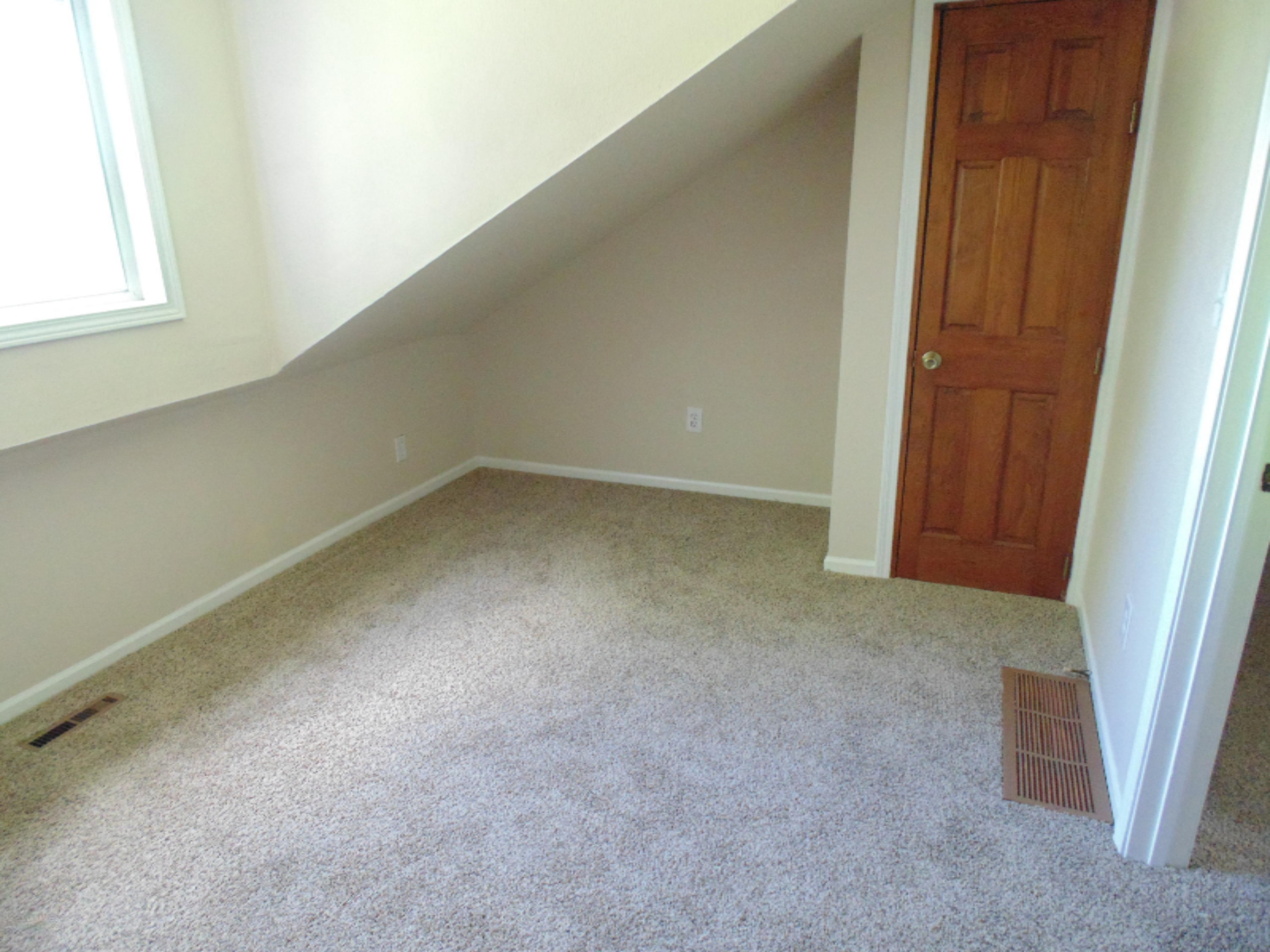 30248 Jacksonburg Road Leonidas, MI 49066 - Photo 10 of 27 DSC00382