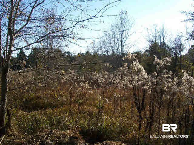 2 Dawes Road Grand Bay, AL 36541 - Photo 6 of 7
