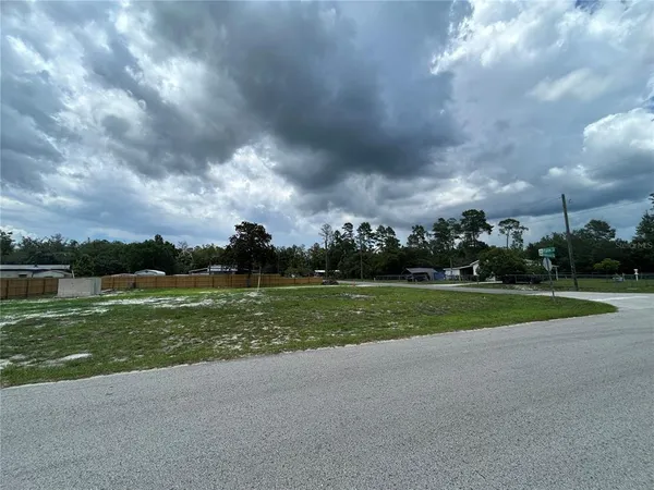 a view of a park and a large trees