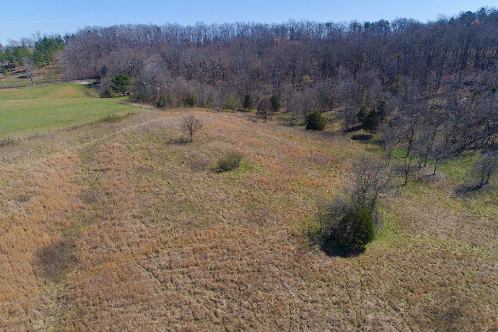 0 Cedar Grove Road Loudon, TN 37774 - Photo 15 of 17 Gallery Image 15