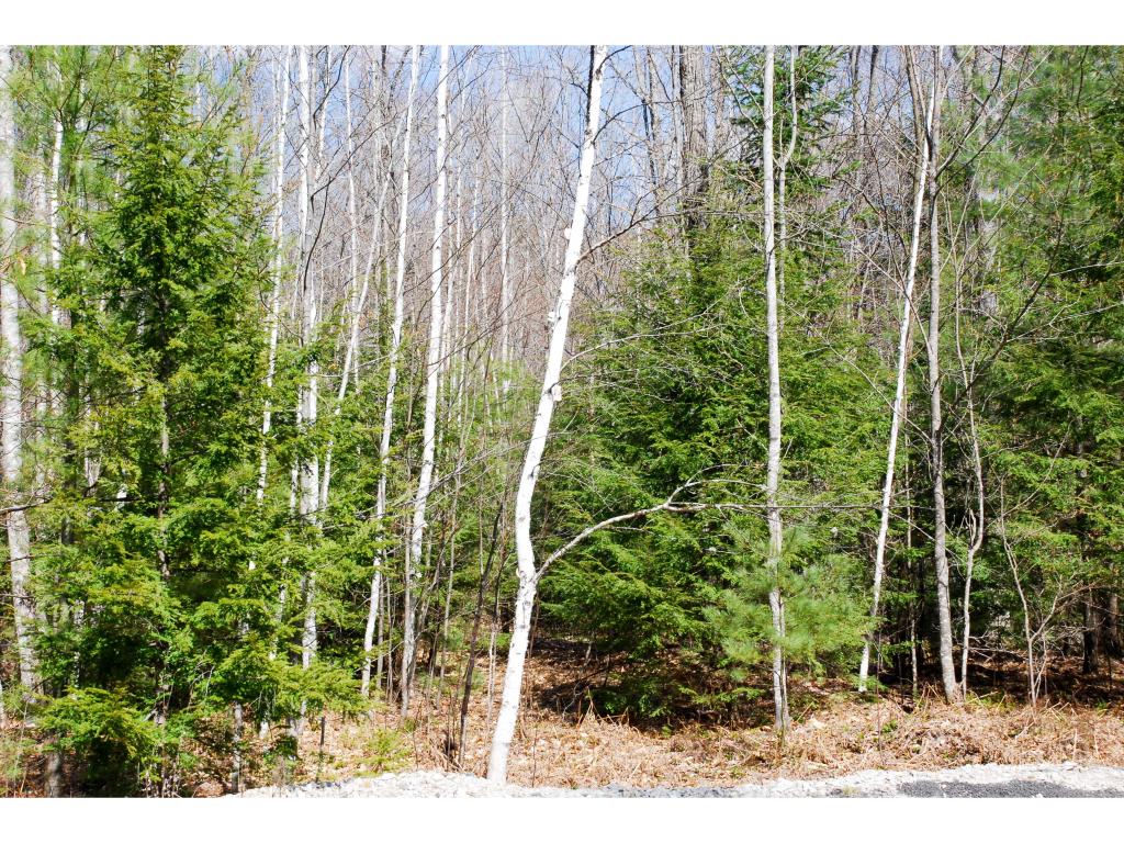 56 Grandview Road Conway, NH 03818 - Photo 3 of 9 Gallery Image 3