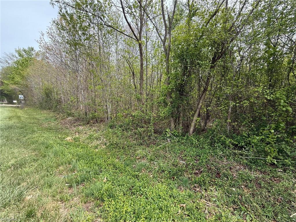 9184 County Line Road Kernersville, NC 27284 - Photo 4 of 4