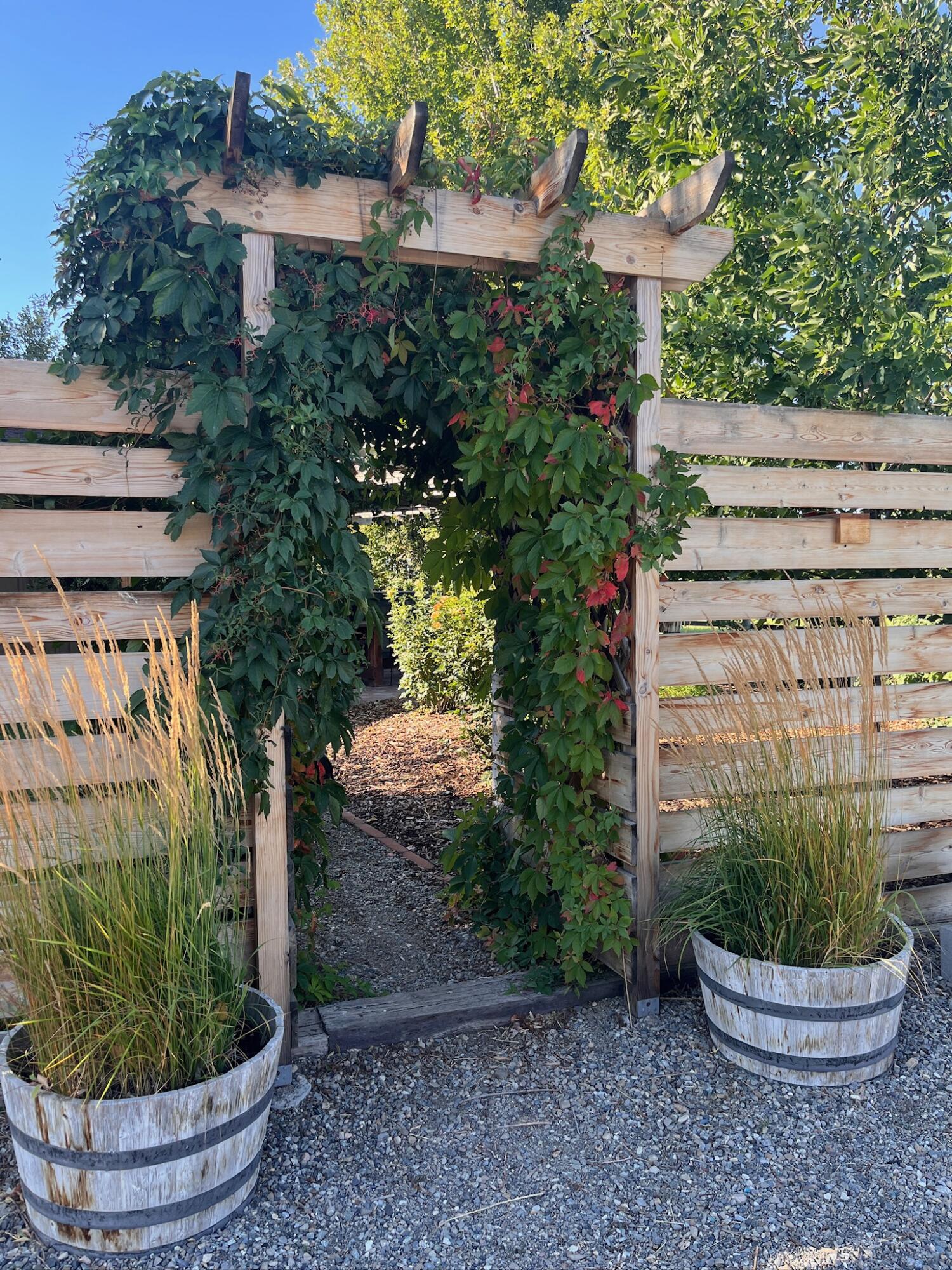 113 Equus Loop Blaine County, ID 83313 - Photo 61 of 88 IMG_0372