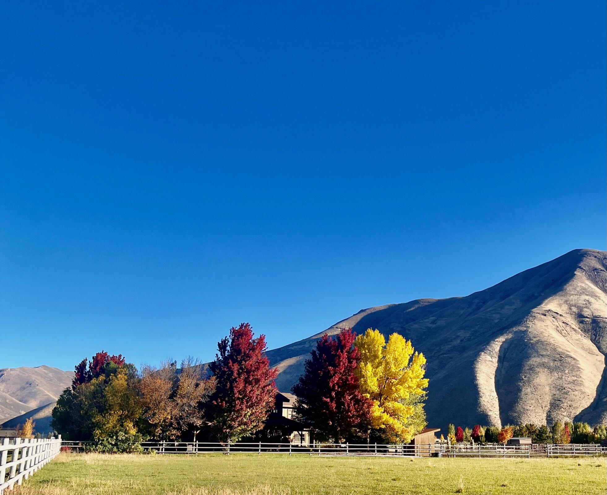 113 Equus Loop Blaine County, ID 83313 - Photo 66 of 88 IMG_8704