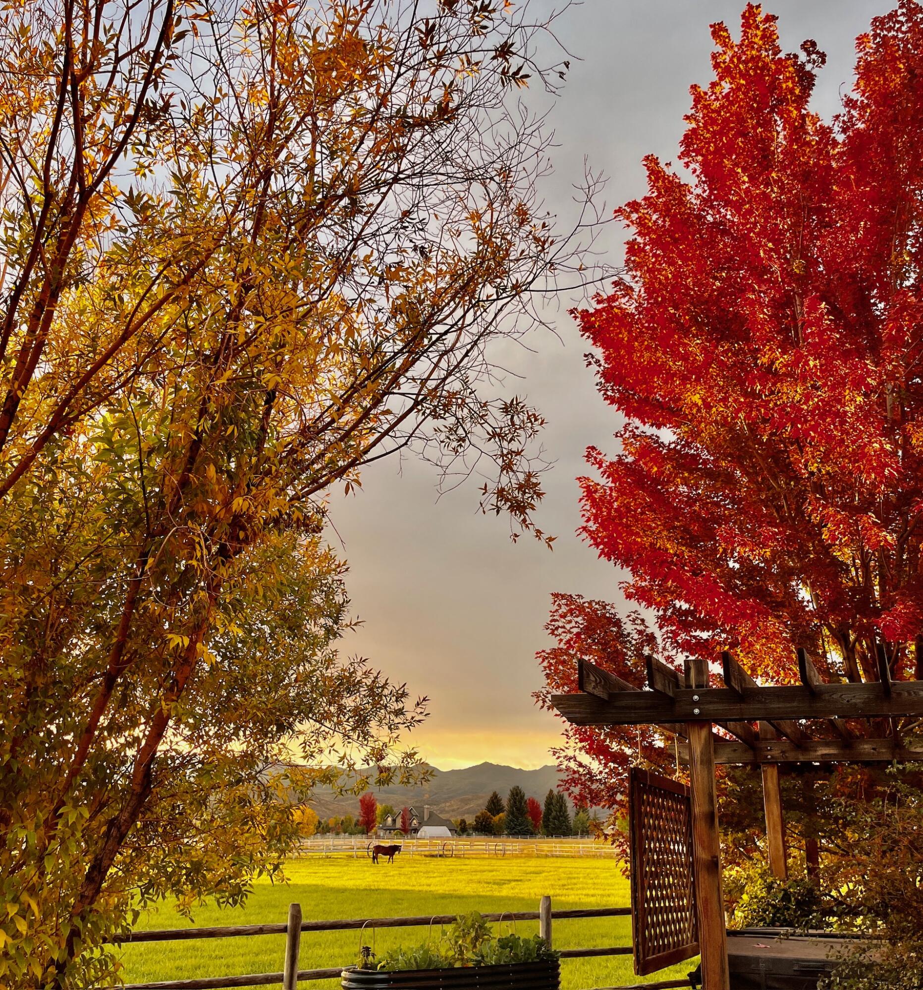 113 Equus Loop Blaine County, ID 83313 - Photo 68 of 88 IMG_8750