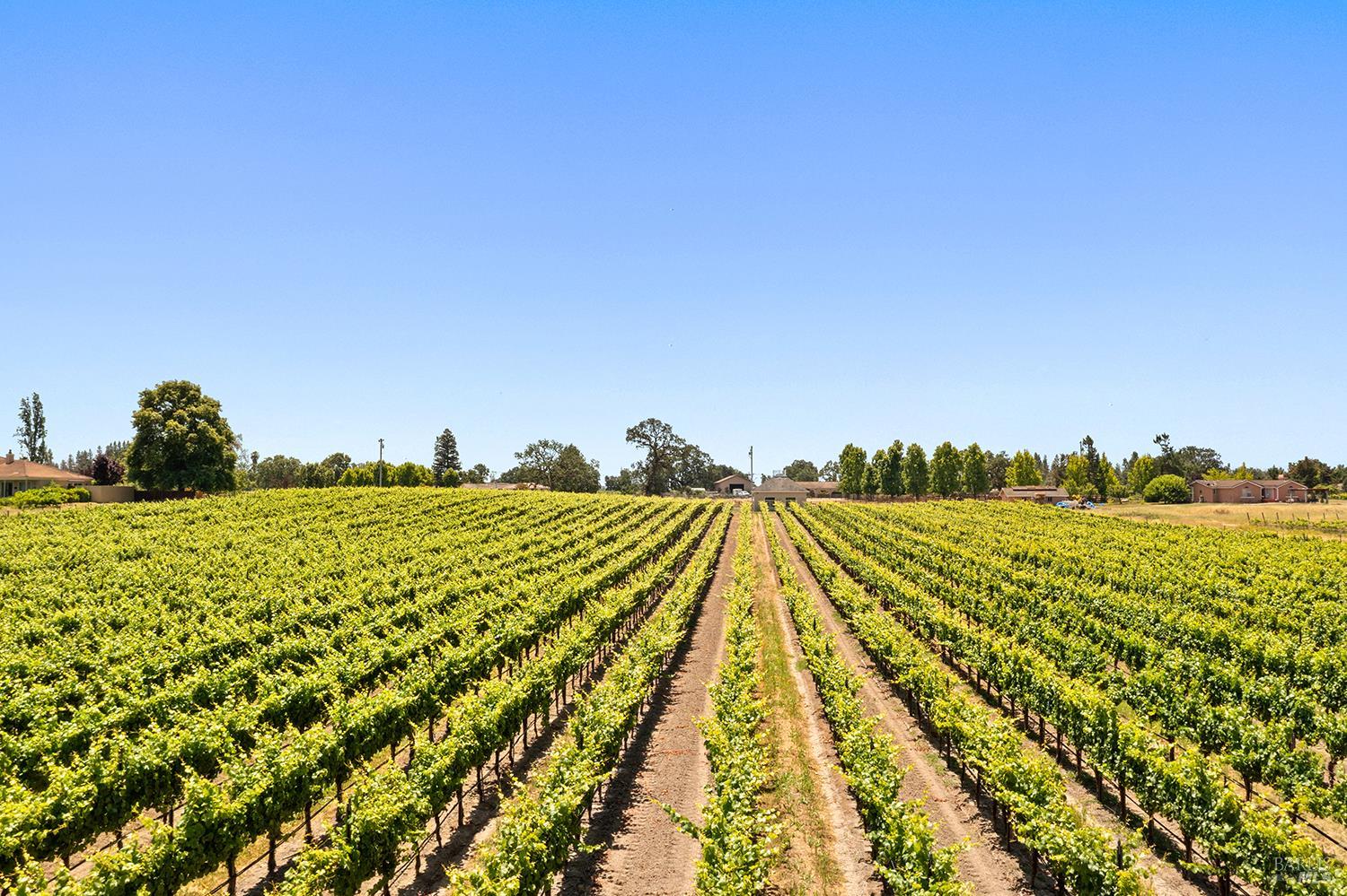 5505 Bravo Toro Lane Santa Rosa, CA 95401 - Photo 19 of 24