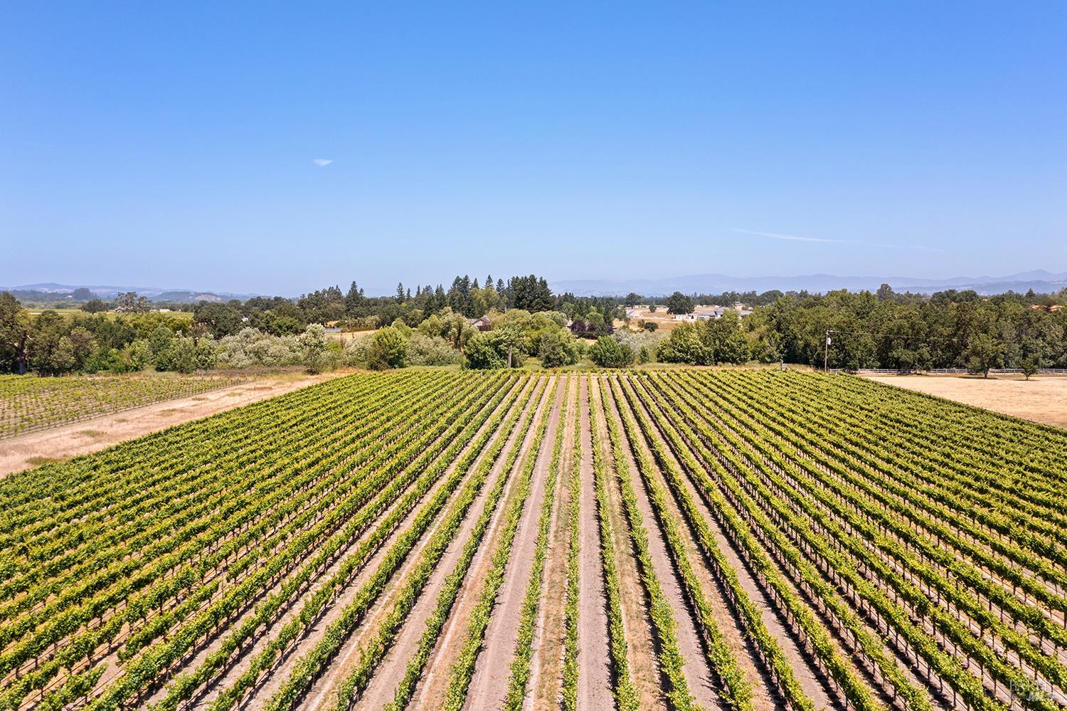 5505 Bravo Toro Lane Santa Rosa, CA 95401 - Photo 20 of 24